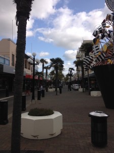 Wellington bis Napier-013